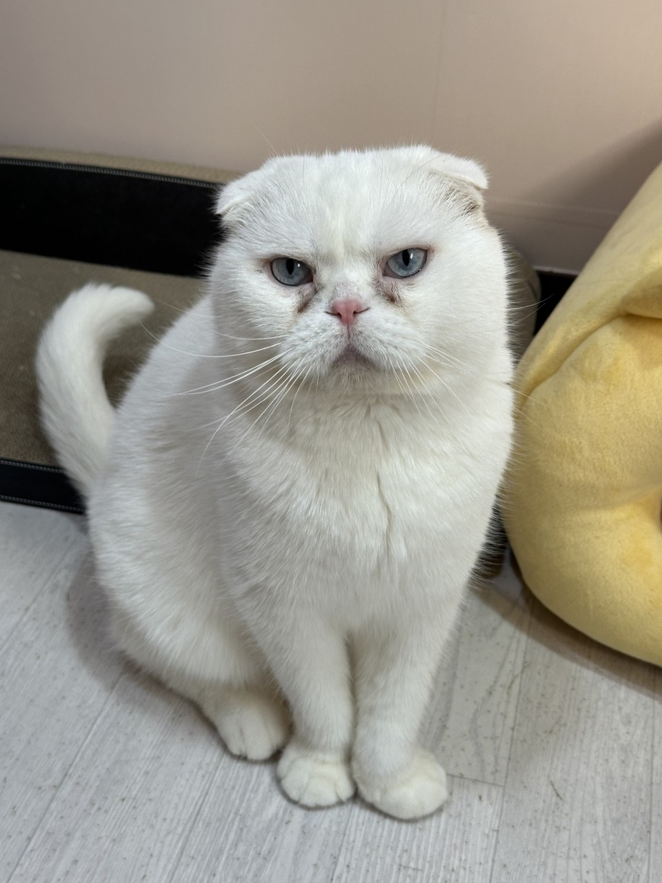 1번째 사진(1).jpg