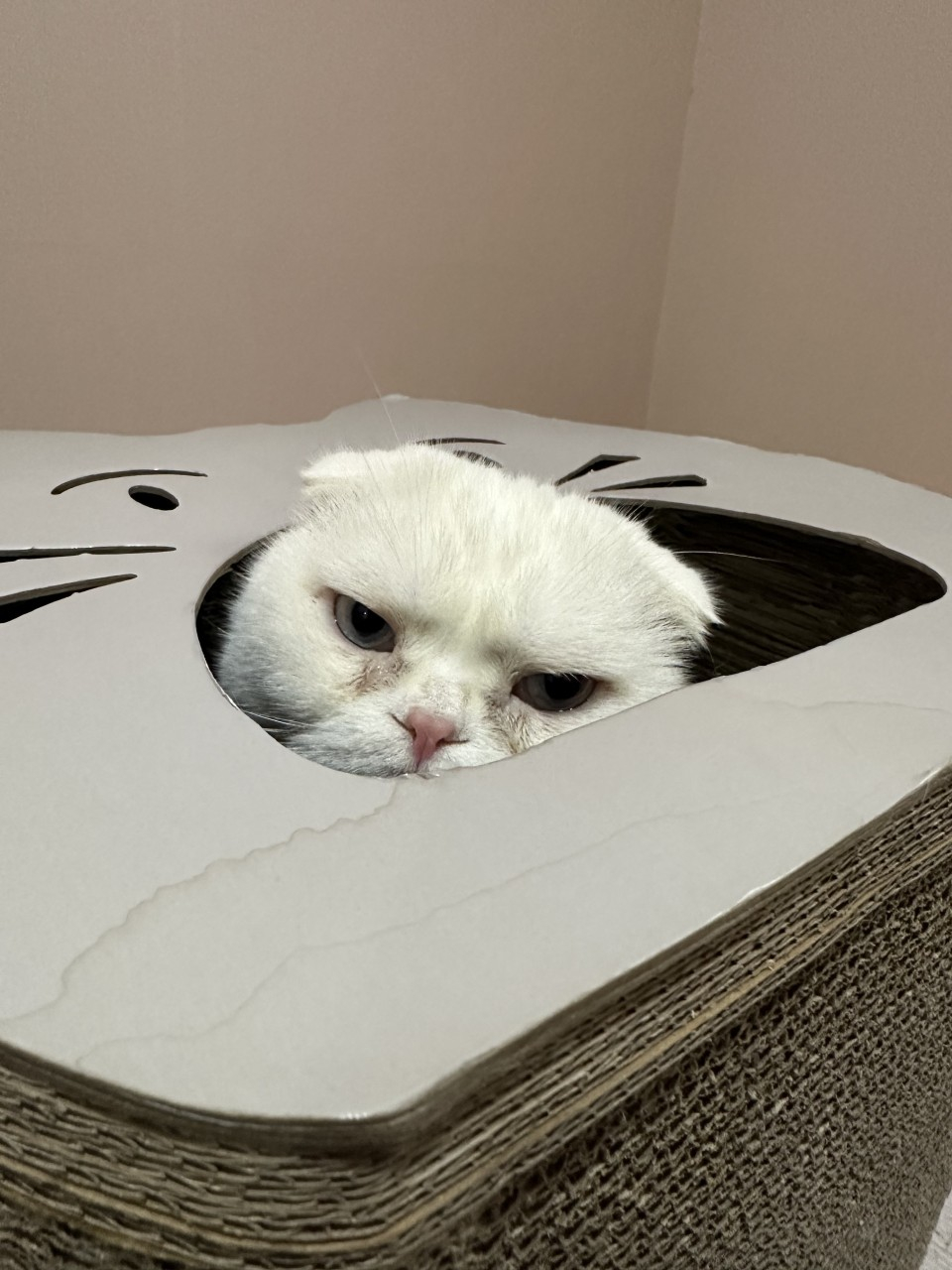 11번째 사진.jpg