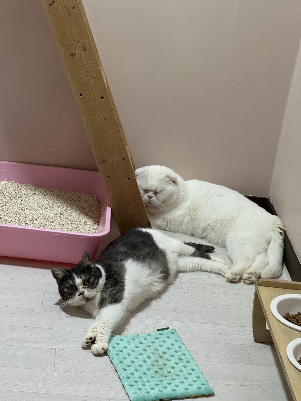 4번째 사진.jpg