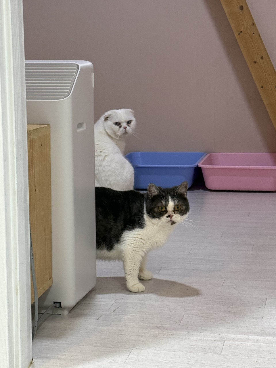 5번째 사진.jpg