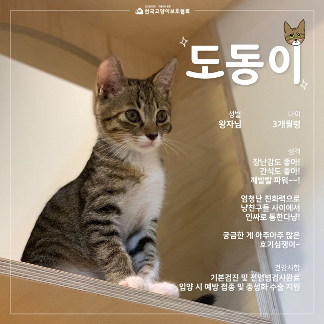 KakaoTalk_20190927_134538772_05.jpg