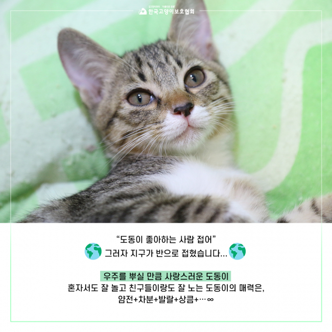 KakaoTalk_20190927_134538772_08.jpg