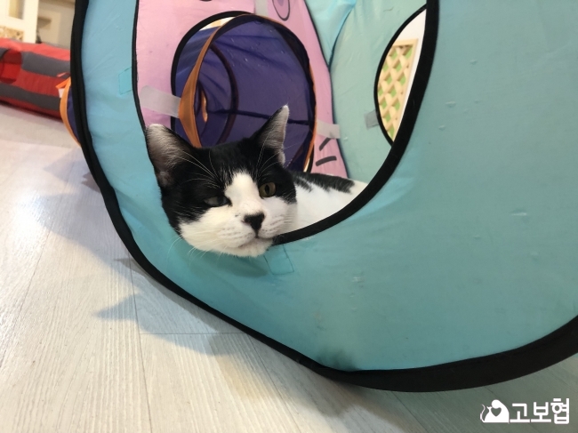 KakaoTalk_20190121_095316384_23.jpg