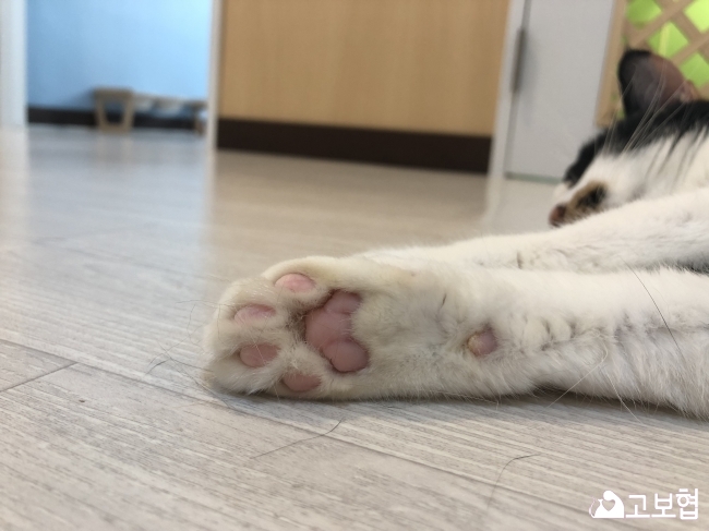 KakaoTalk_20190121_095316384_04.jpg