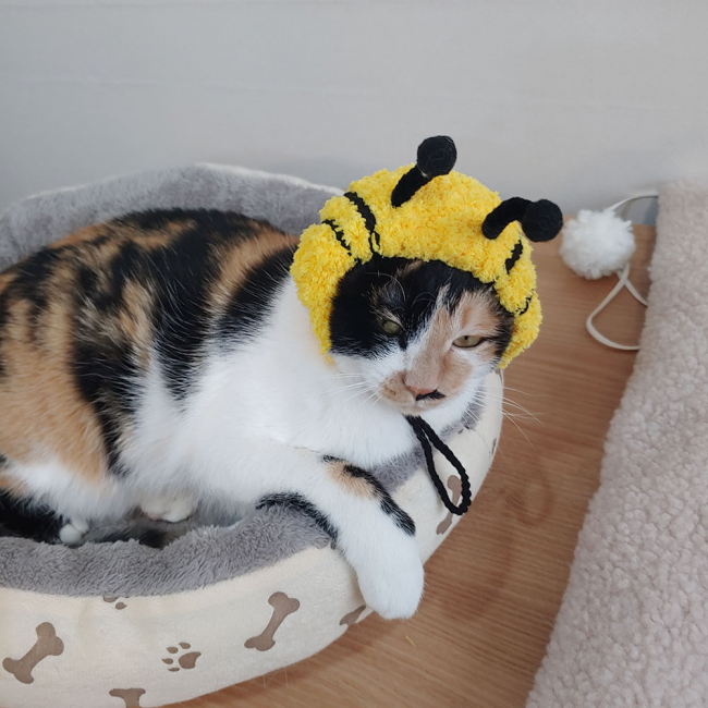 KakaoTalk_20190322_133305074.jpg