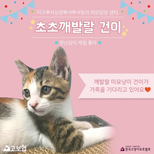 건이-입양홍보0.jpg