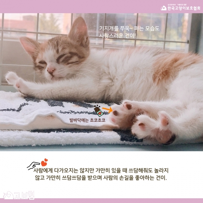 건이-입양홍보4.jpg
