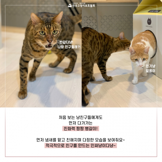 뱅갈5.jpg