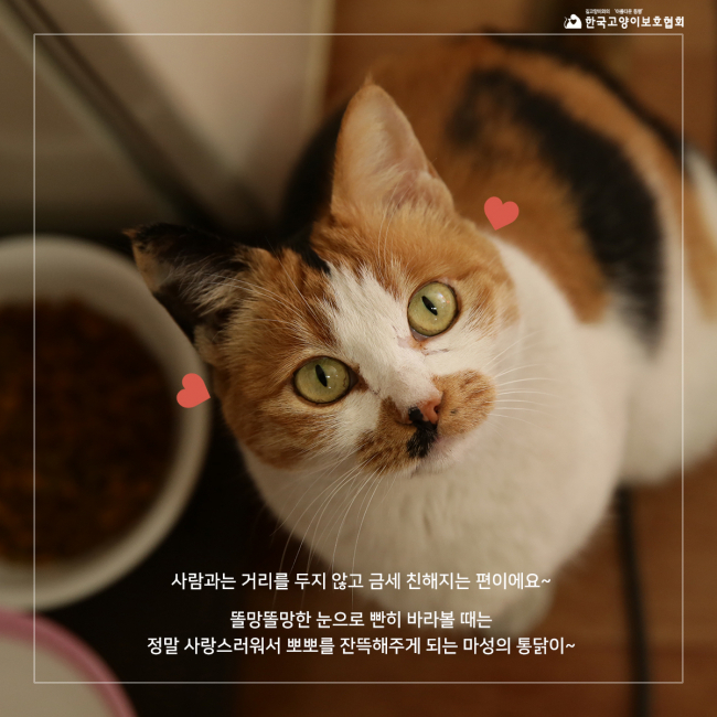 통닭이 (6).jpg