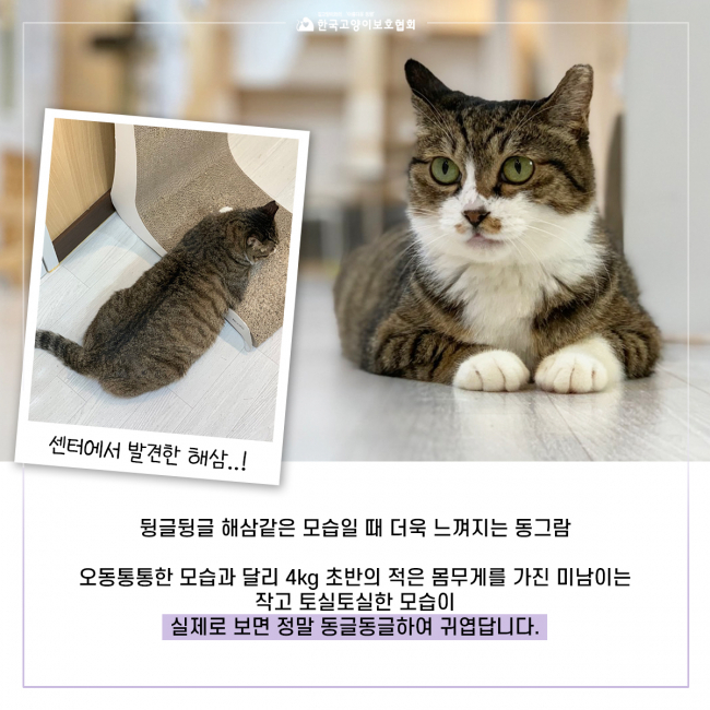 미남 (4).jpg