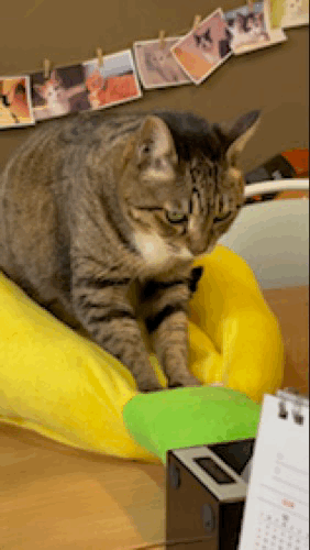 12.gif