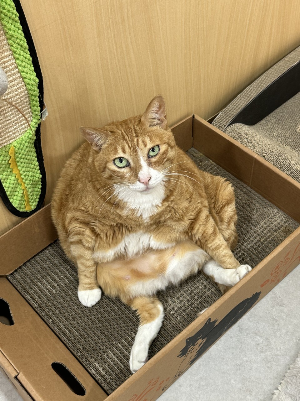 7번째 사진.jpg