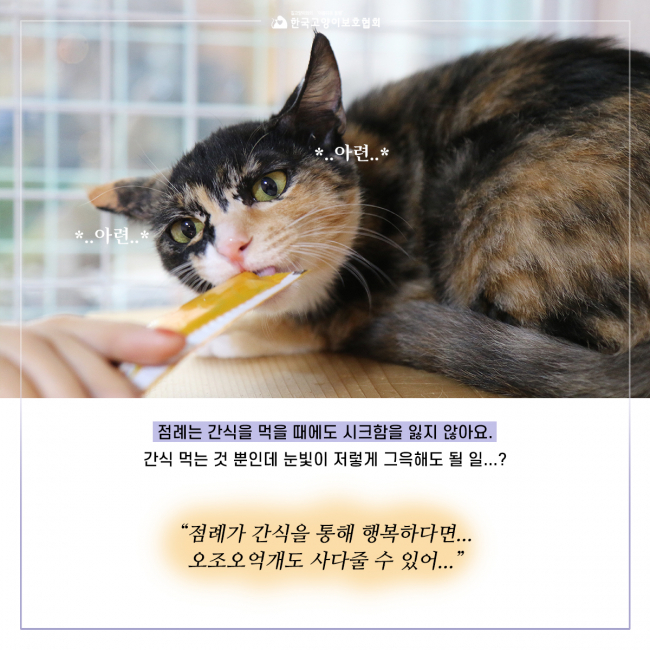 호점9.jpg