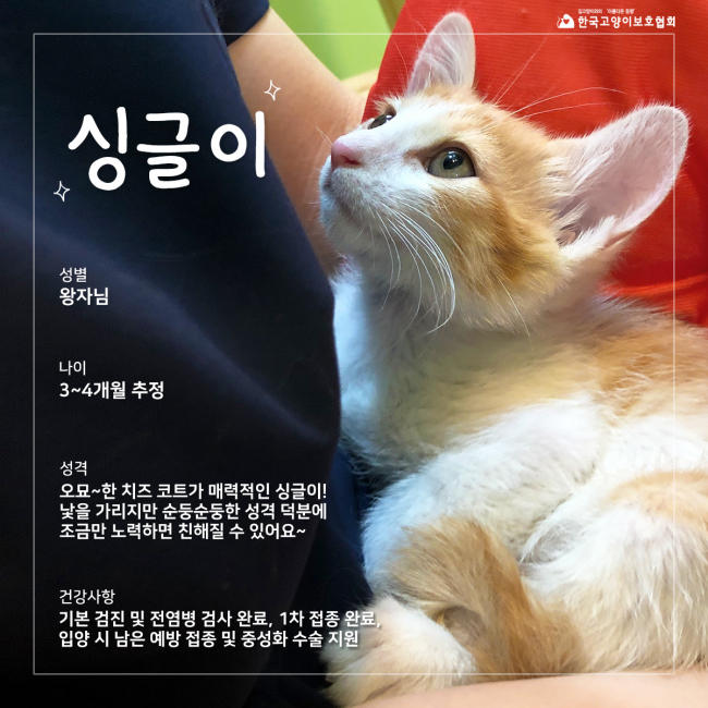 싱글벙글 (2).jpg