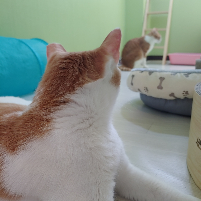 KakaoTalk_20190329_165120263_05.jpg