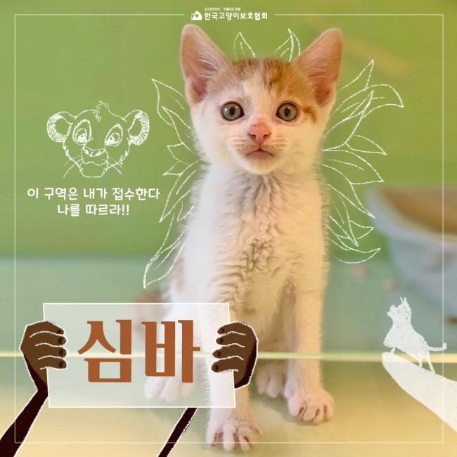 심바 (1).jpg
