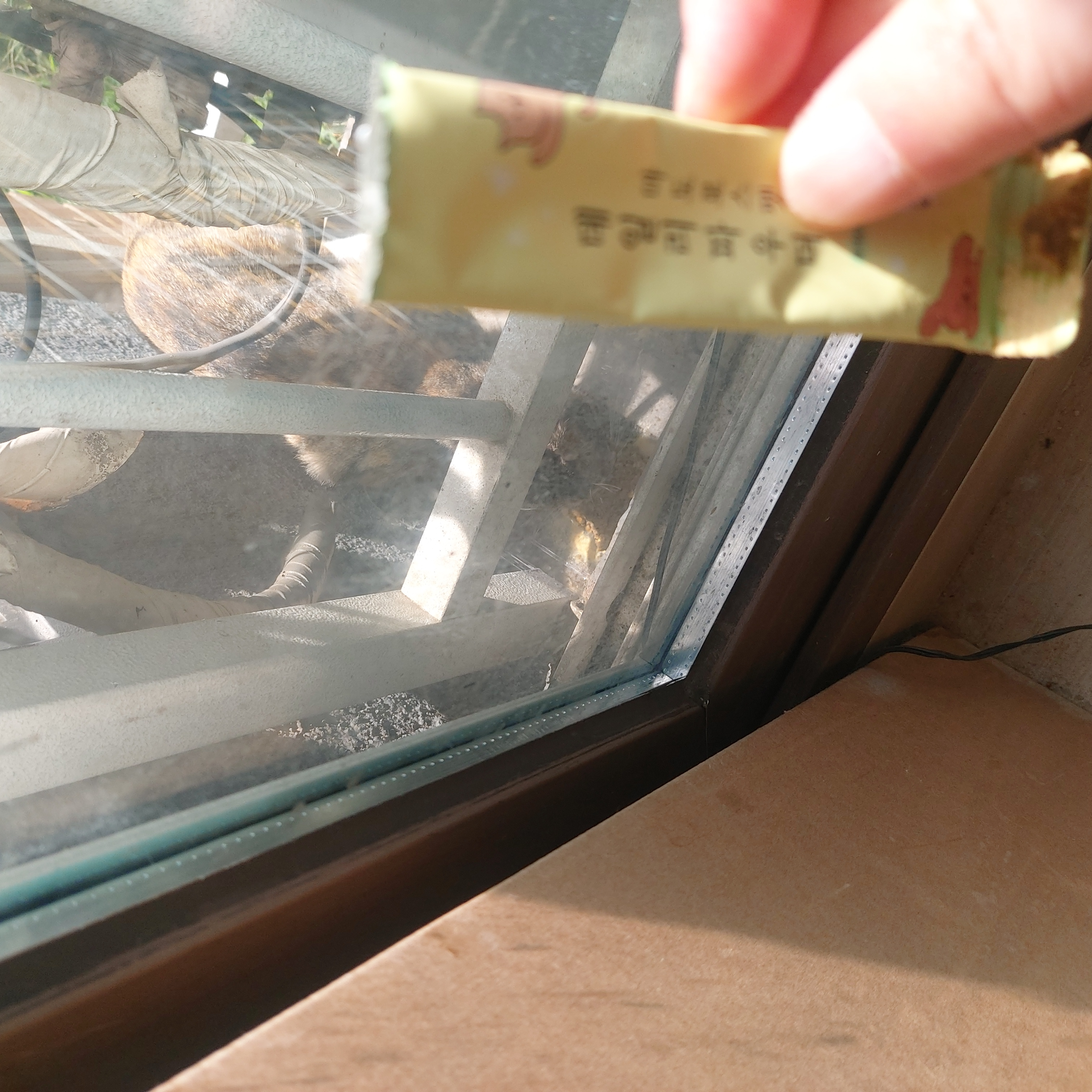 20250915_131615.jpg
