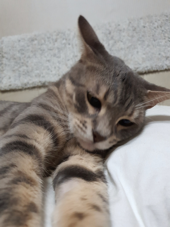 KakaoTalk_20211029_115646412.jpg