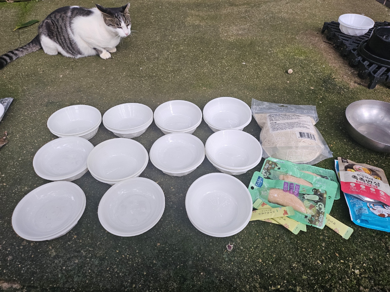 Resized_20251001_163752.jpeg
