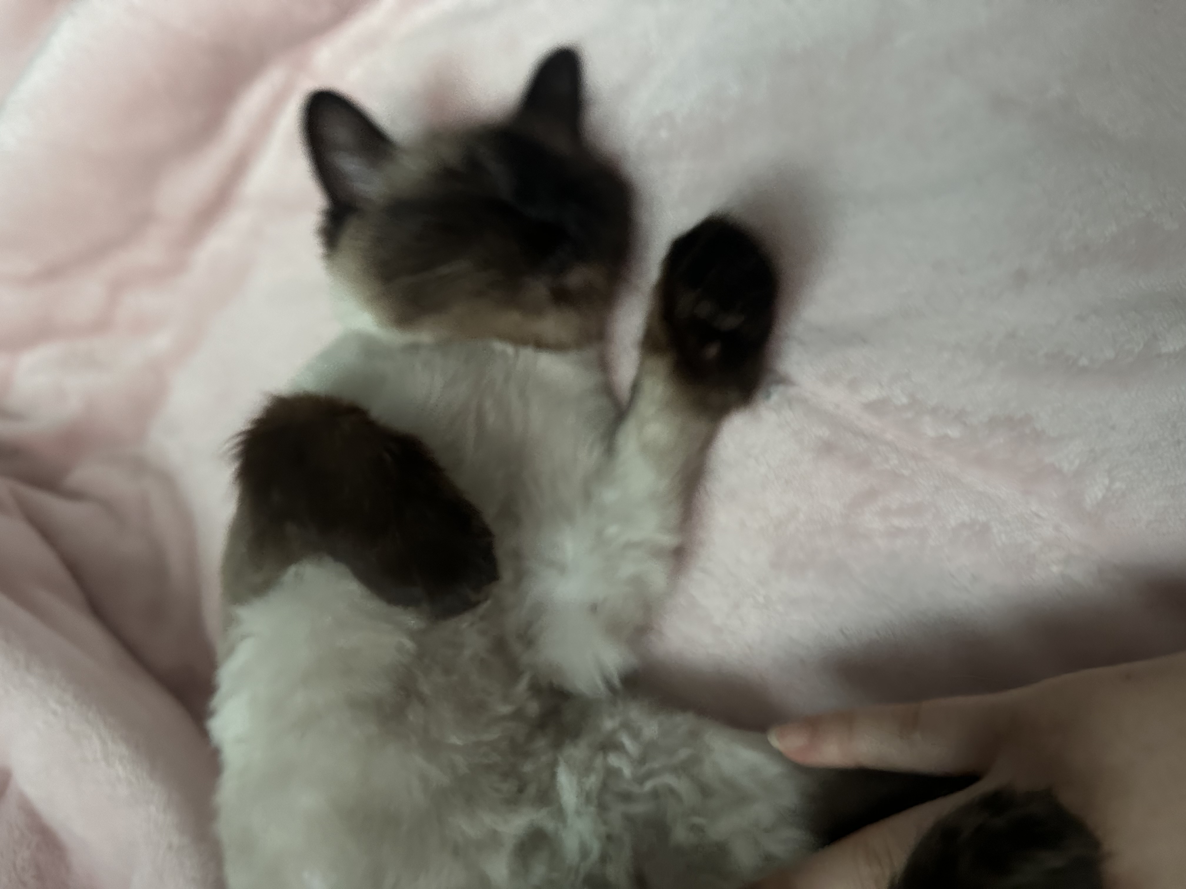 IMG_9172.jpeg