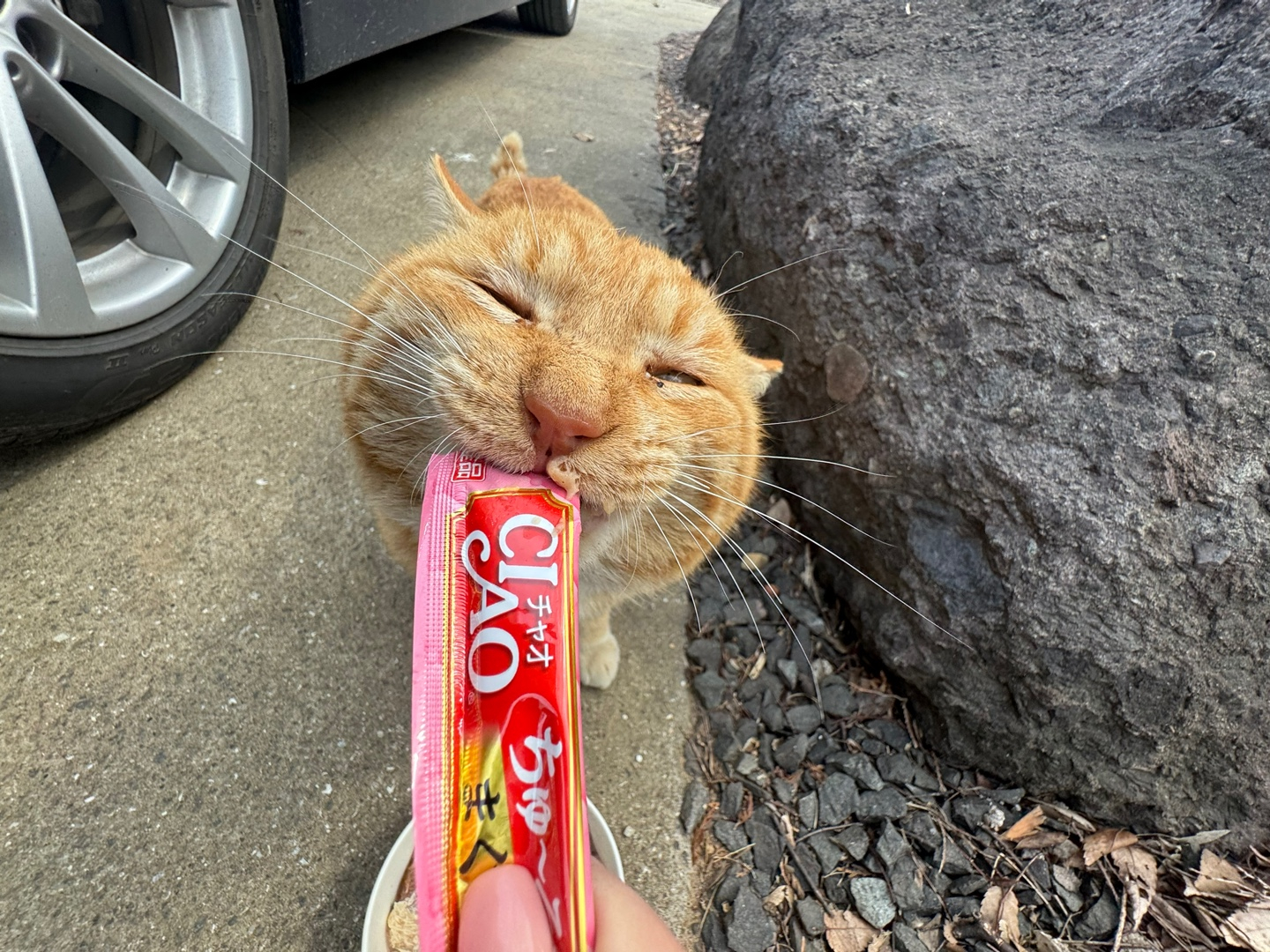 KakaoTalk_20250717_164414015_07.jpg
