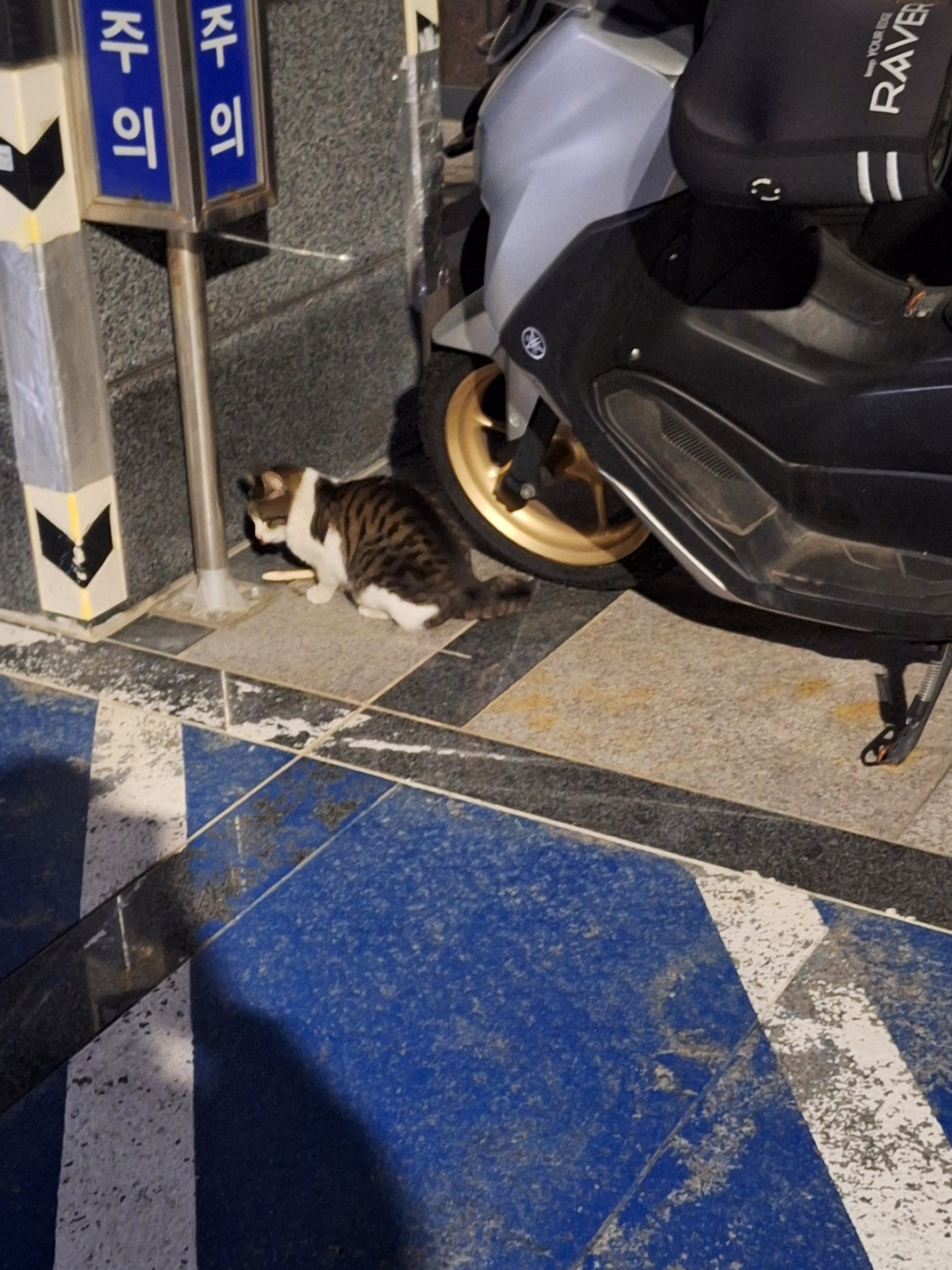 KakaoTalk_20250402_165315878_08.jpg