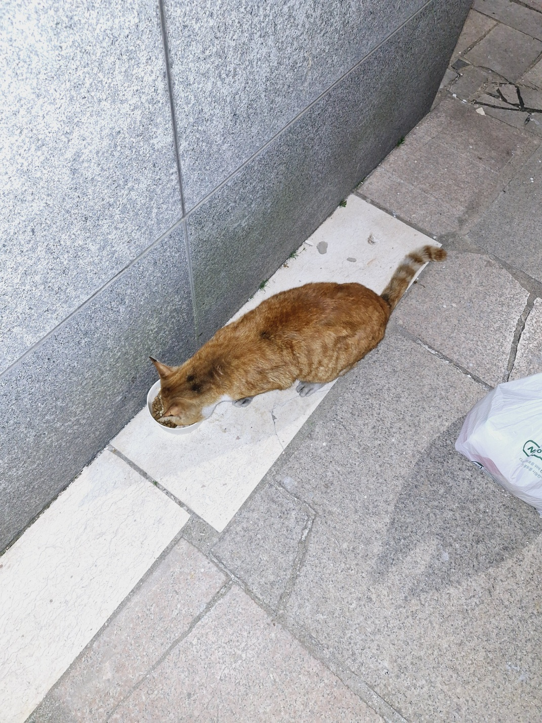 KakaoTalk_20250402_165315878_04.jpg