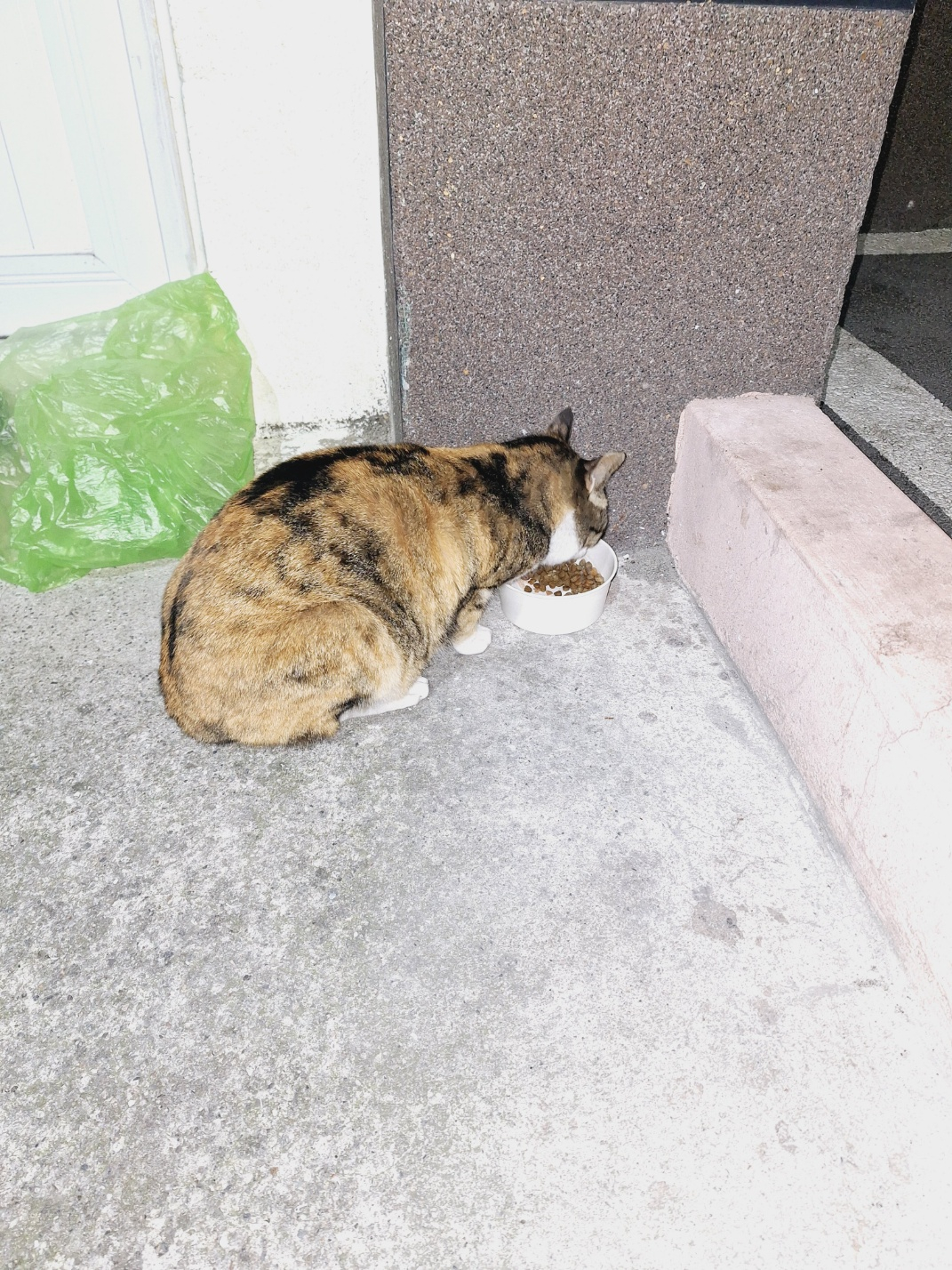 KakaoTalk_20250402_165315878_03.jpg