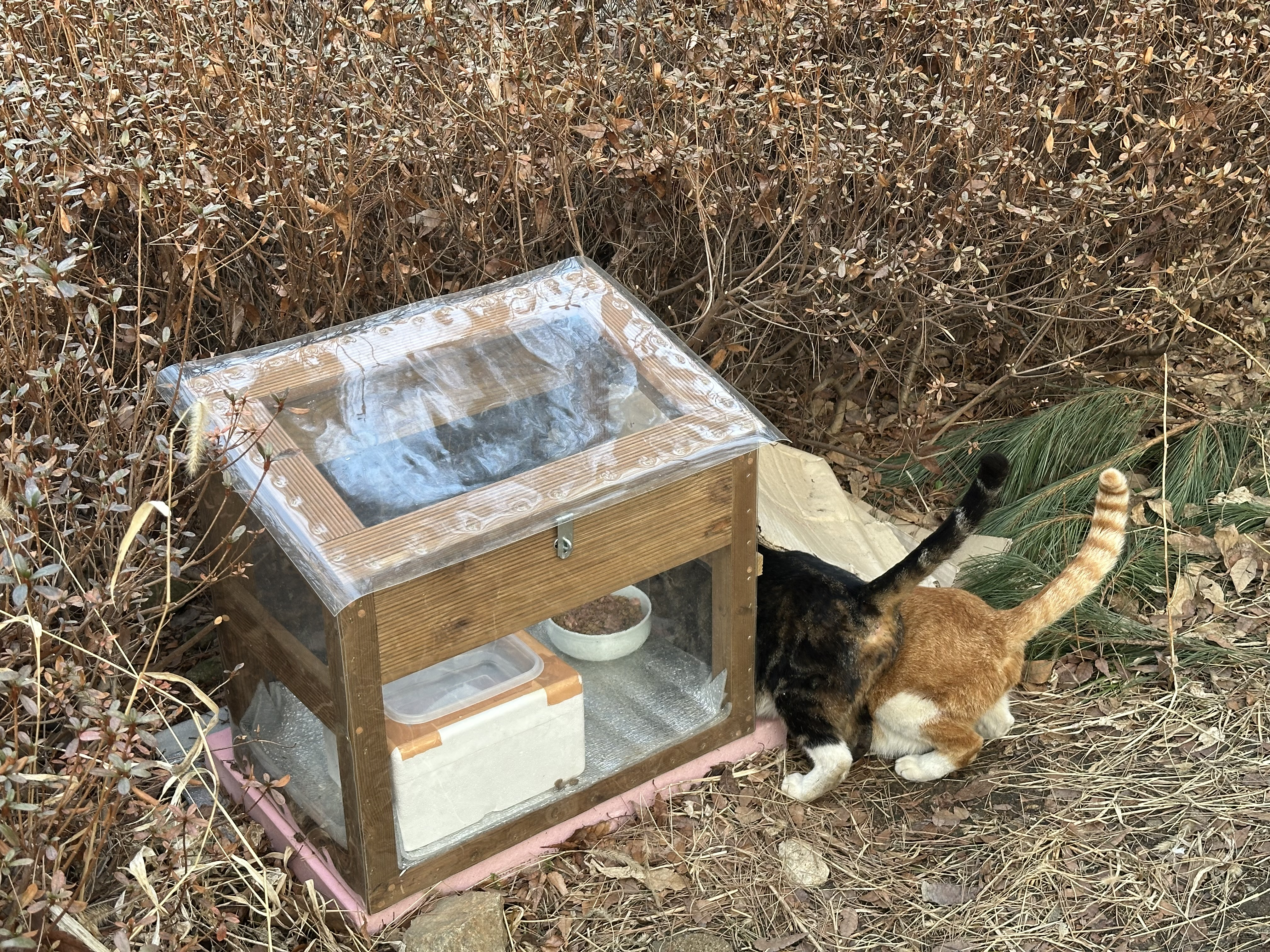 KakaoTalk_20250311_172401689_04.jpg