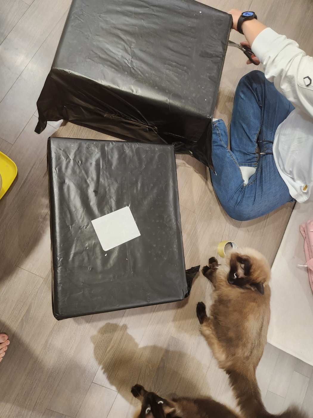 KakaoTalk_20250929_100605011_03.jpg