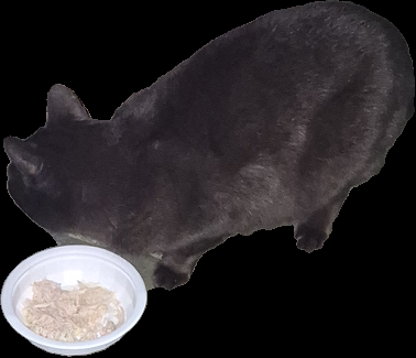 Clipped_image_20250310_032310.png