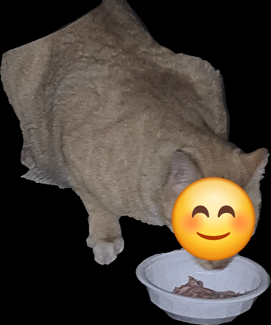Clipped_image_20250310_032318.png