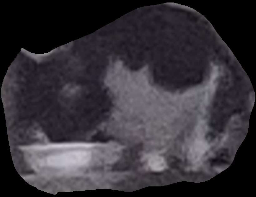 20250310_025654.png