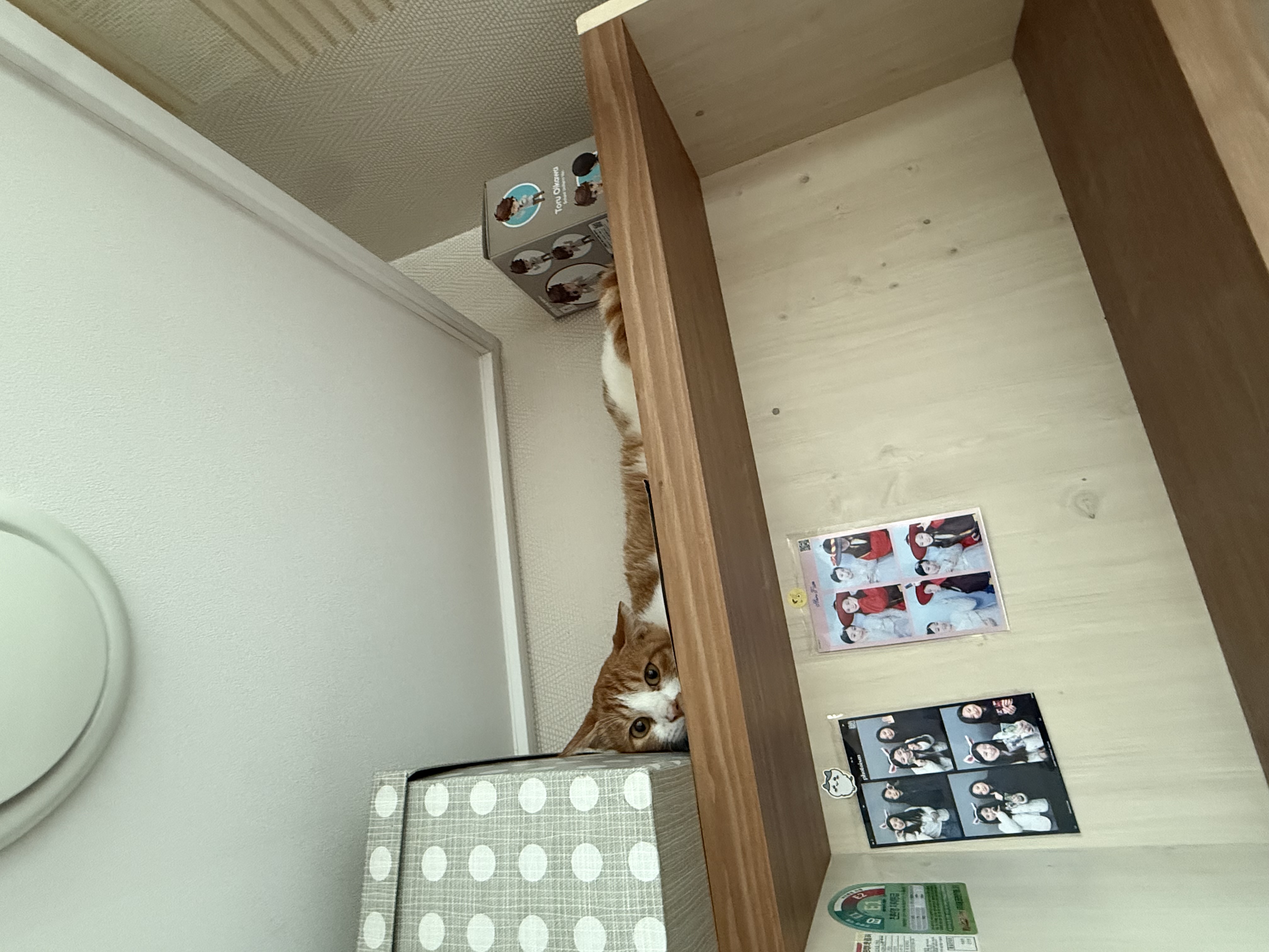 IMG_9400.jpeg