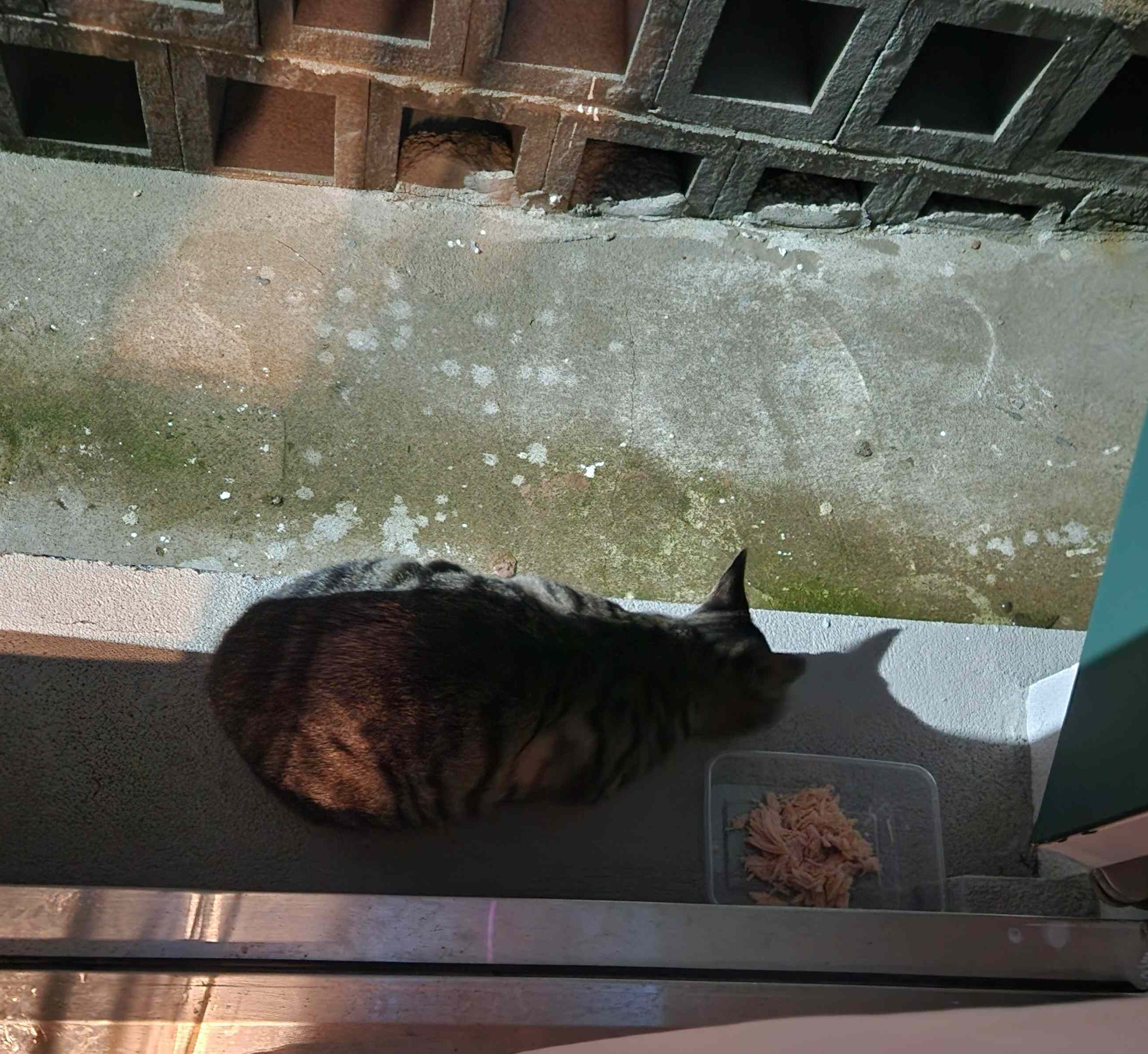 20251012_183125.jpg