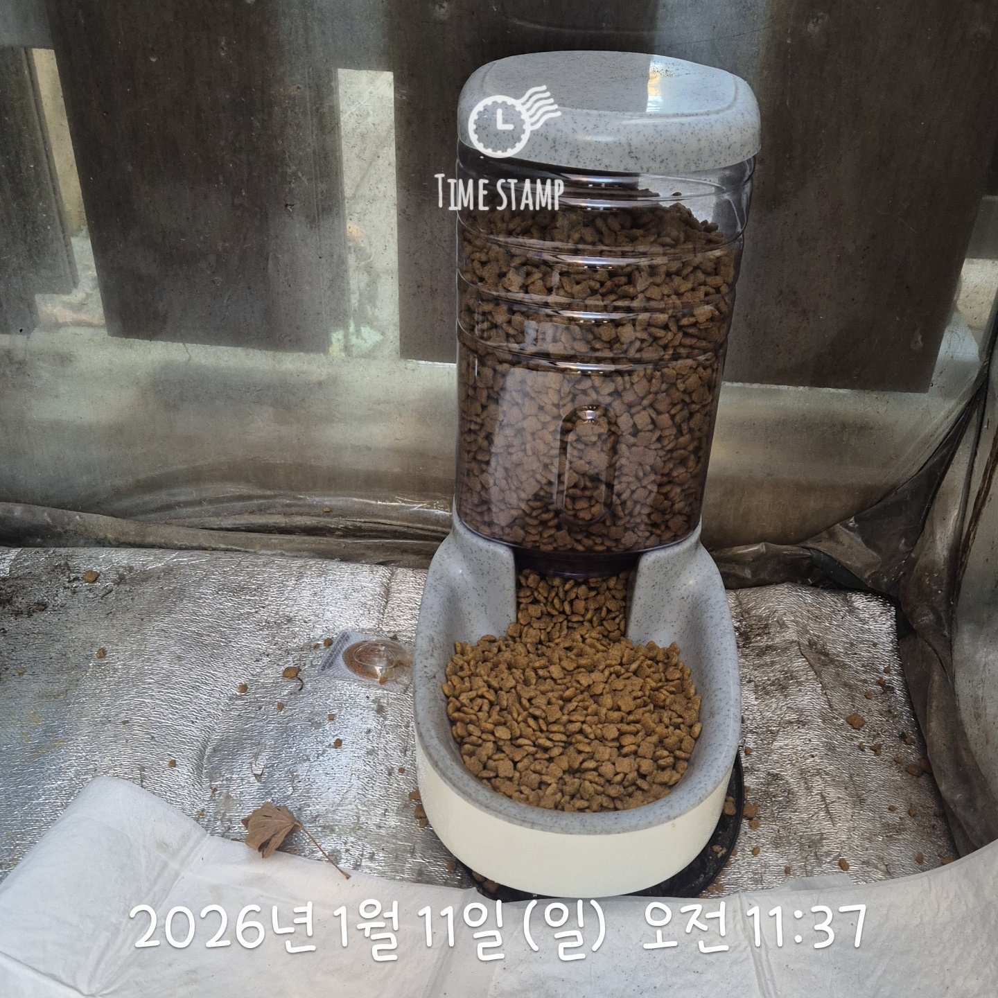 2026-01-11T11_37_38.826.jpg