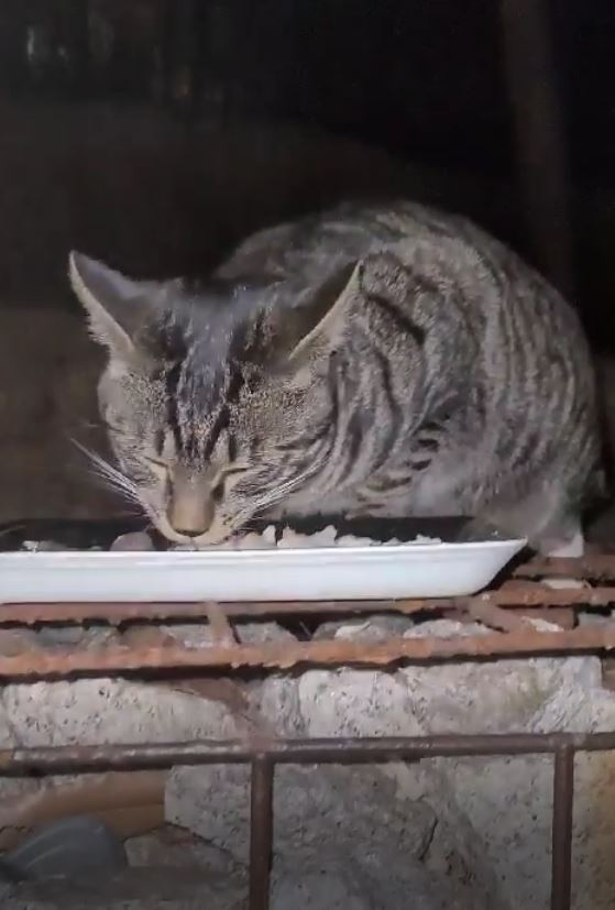 캡처7.JPG