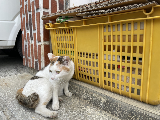 KakaoTalk_20220513_085211533_02.jpg