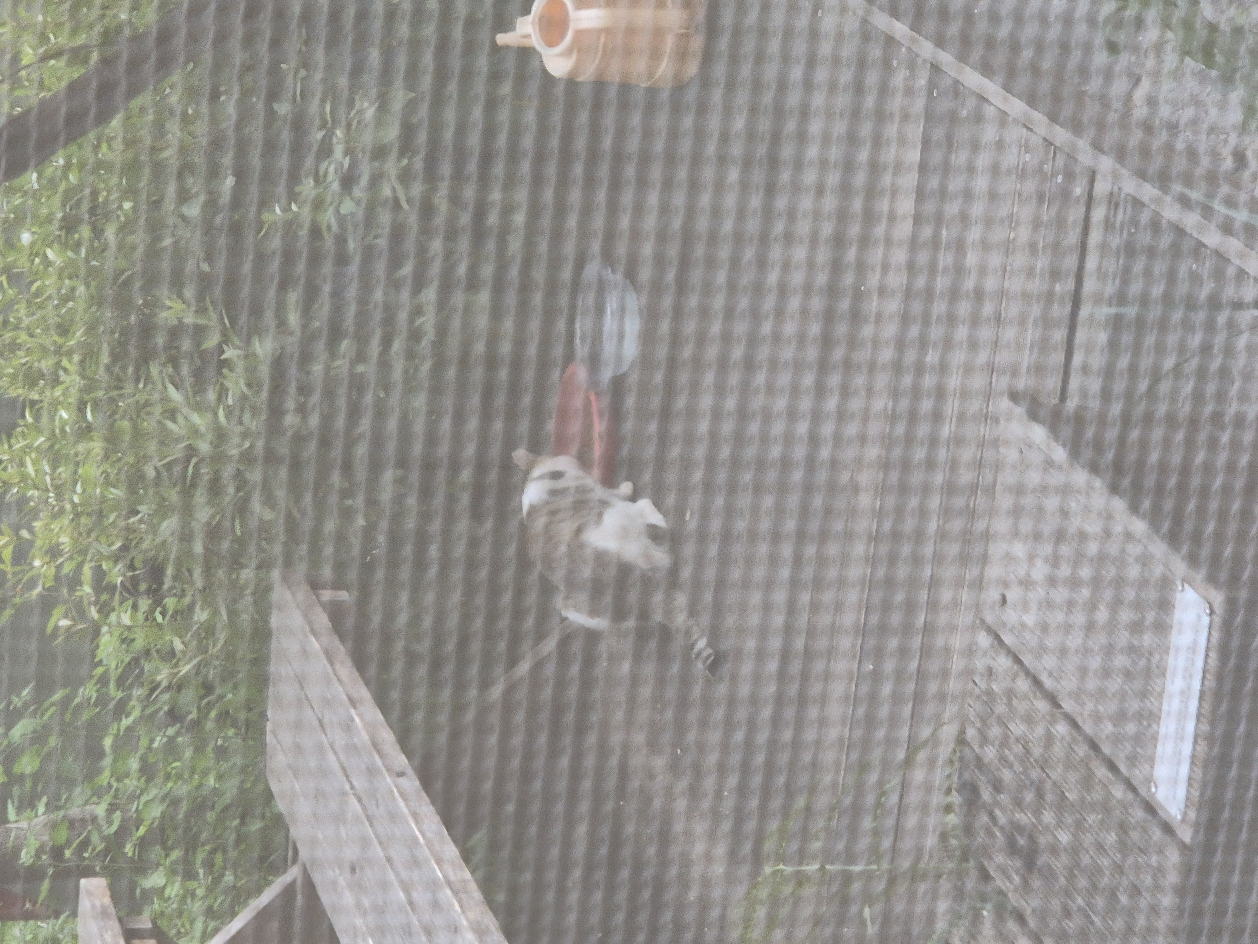 20250730_181557.jpg