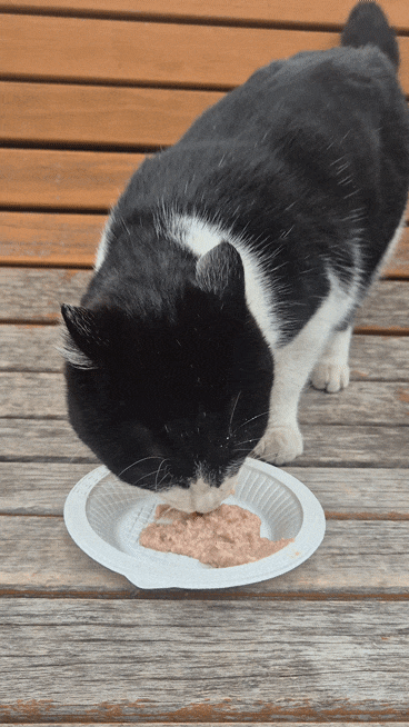 KakaoTalk_20260224_123223326_01 (1).gif