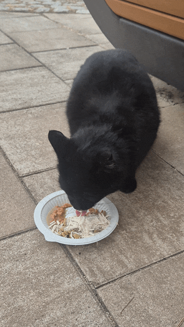 KakaoTalk_20260224_123223326 (1).gif