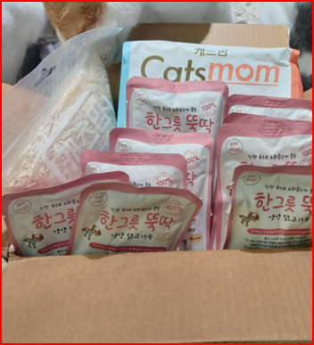 화면 캡처 2026-03-19 151528.png