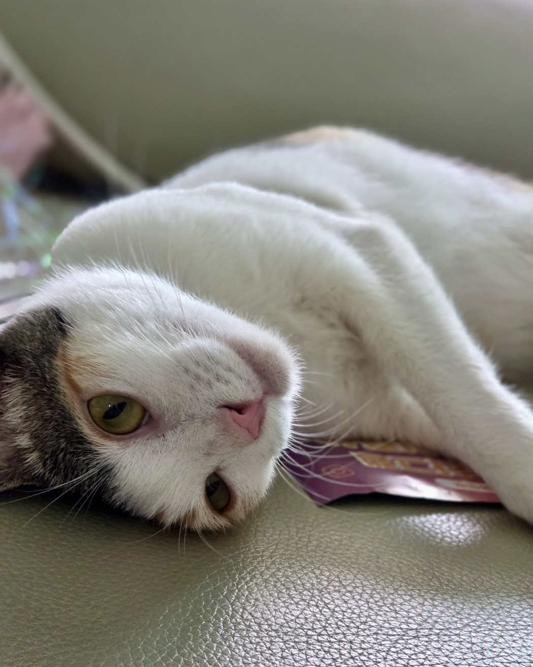 KakaoTalk_20250912_154711603_10.jpg