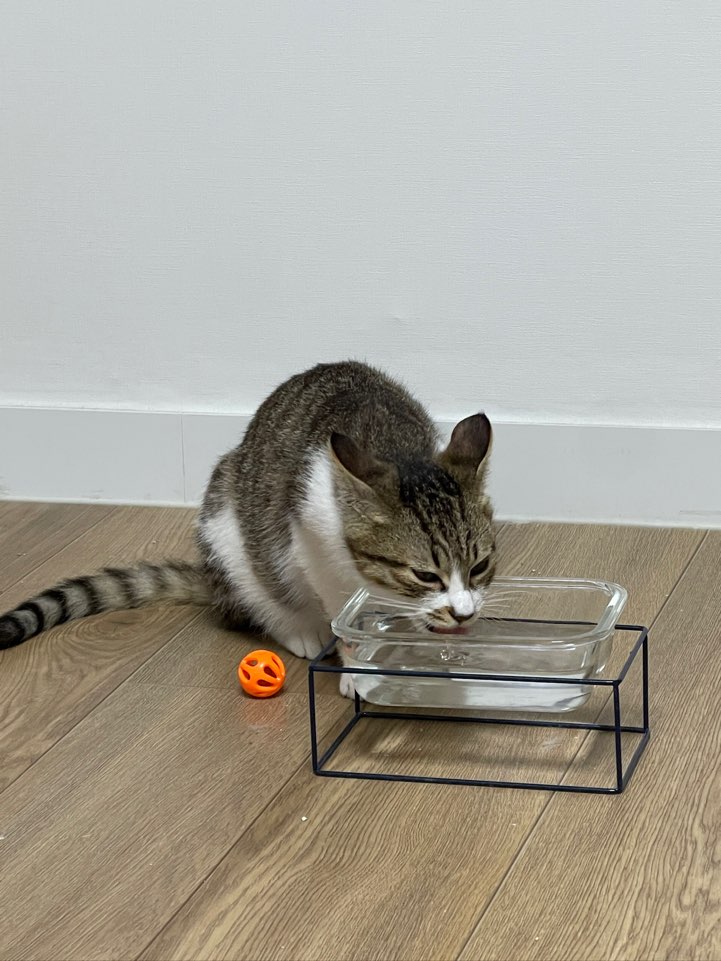 KakaoTalk_20250604_154951105.jpg