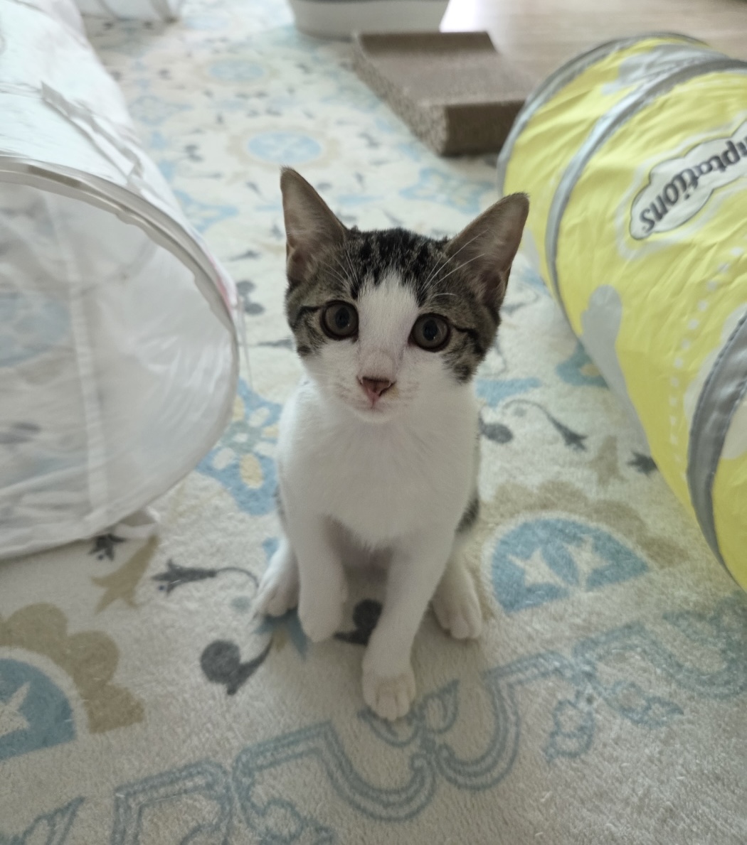 KakaoTalk_20250912_155032963_03.jpg