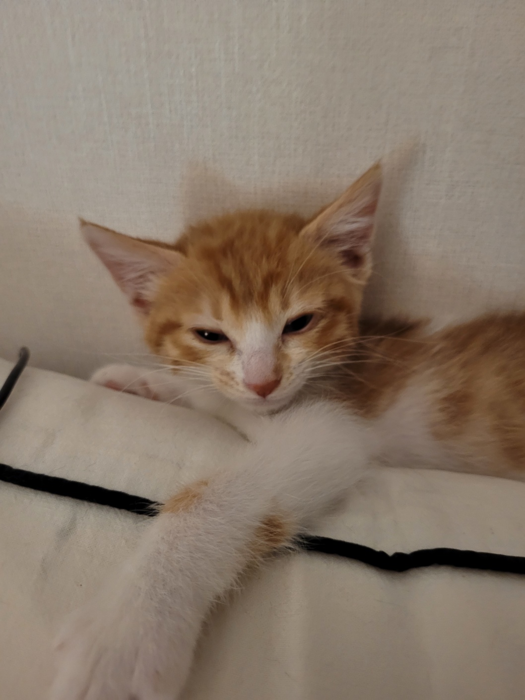 KakaoTalk_20250616_003230423_01.jpg
