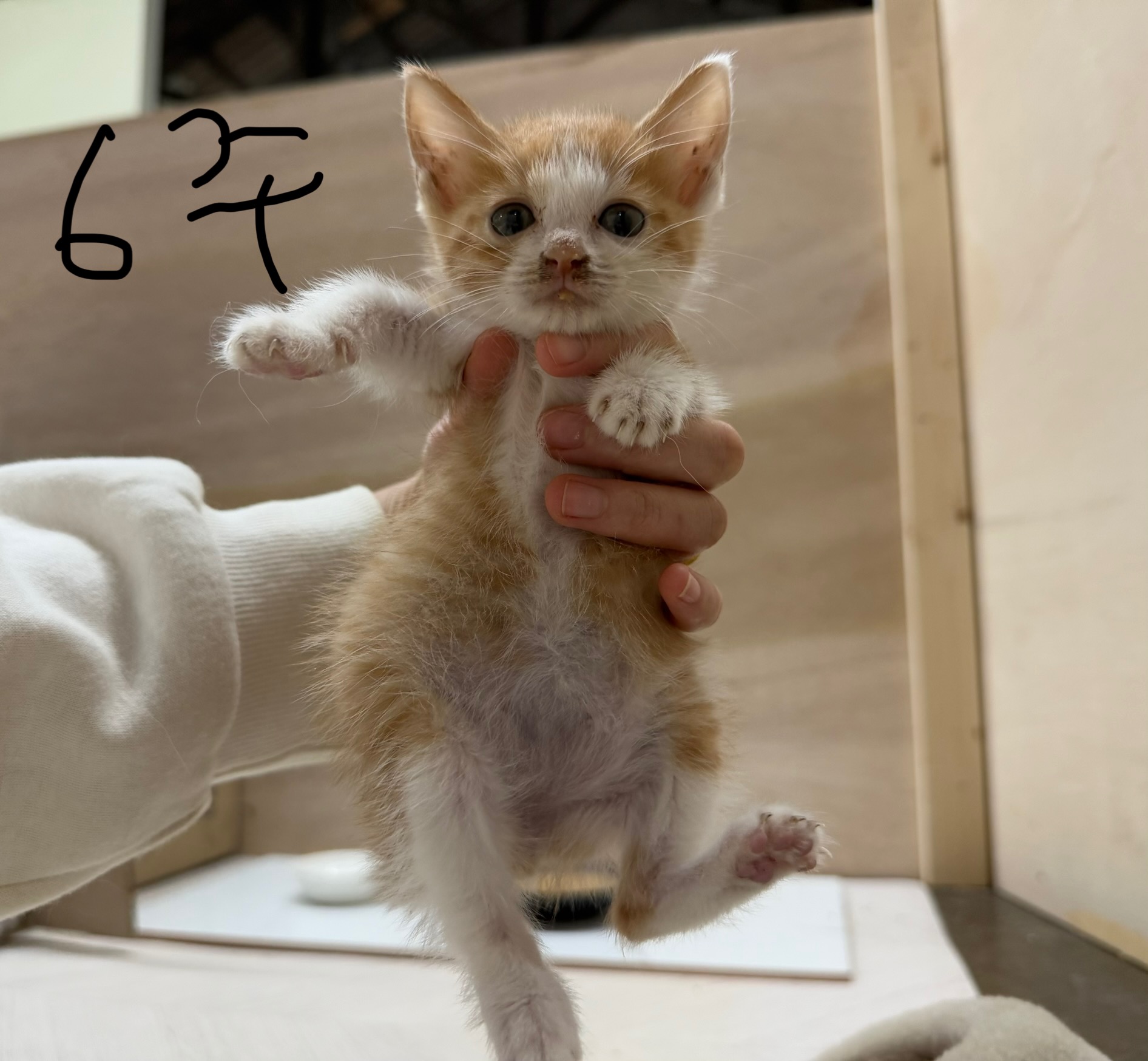 KakaoTalk_20251021_221050054_06.jpg