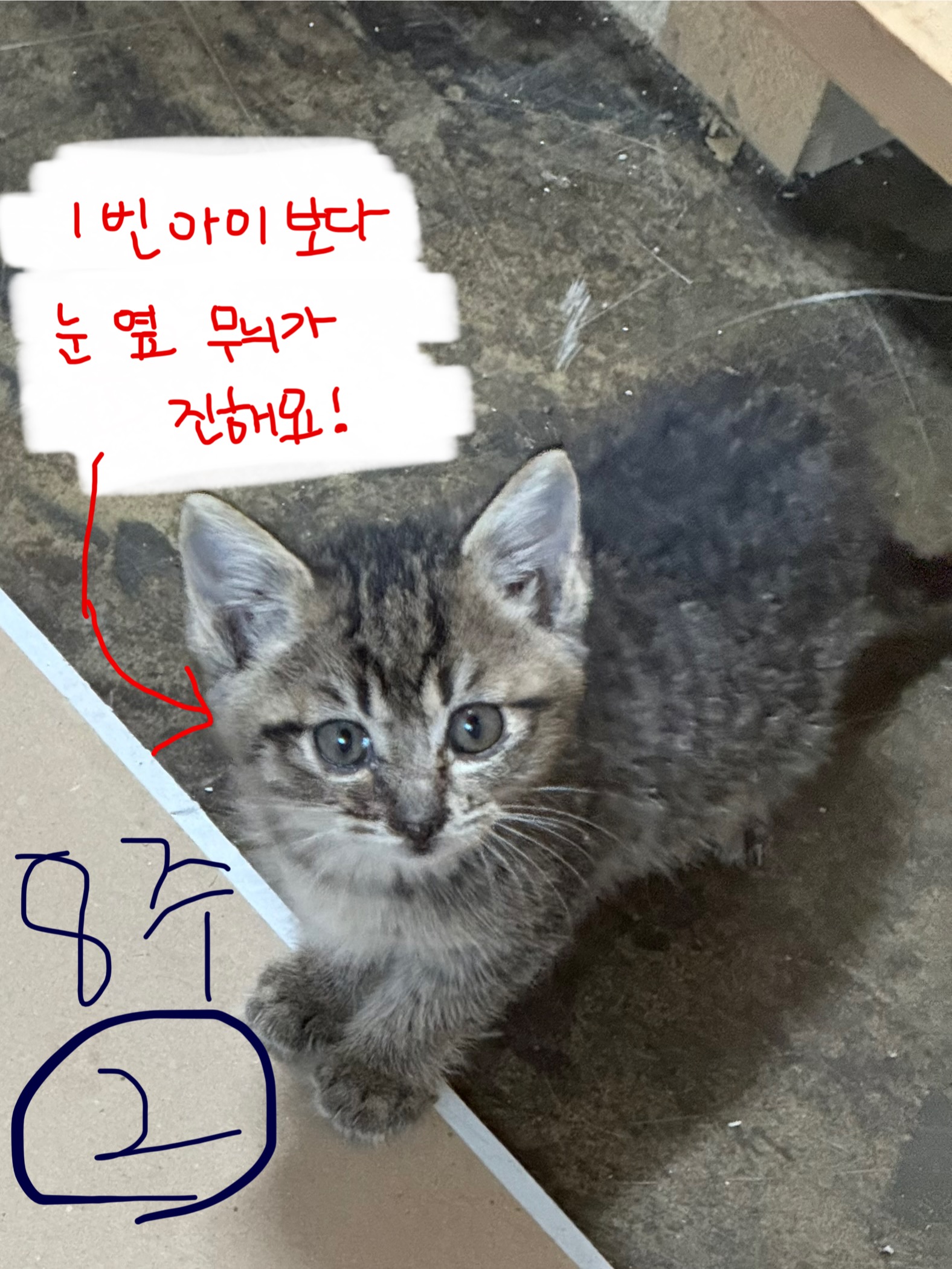 KakaoTalk_20251021_221050054_01.jpg