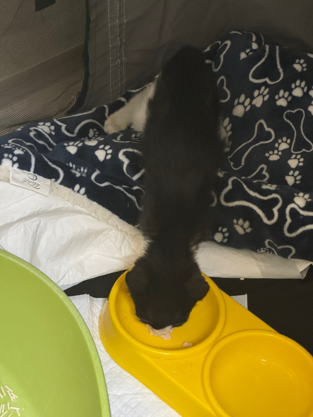 KakaoTalk_20250722_173400549_01.jpg