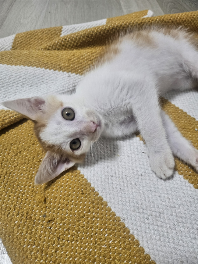 KakaoTalk_20240725_000407676.jpg
